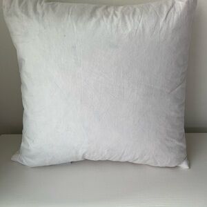 Restoration Hardware European Feather Pillow Insert 20x20